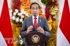 Presidente indonesio insta a una respuesta prudente ante el aumento de COVID-19