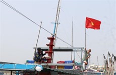 Inspeccionan lucha de provincia vietnamita contra la IUU