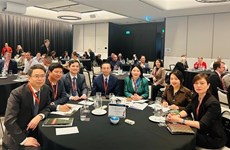 Vietnam asiste a reunión internacional sobre auditoría de desempeño