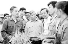 Inaguraran micrositio de Nhan Dan sobre exsecretario general del Partido Nguyen Van Linh