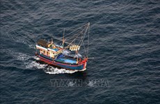 Asociación de Pesca de Vietnam rechaza prohibición china de pesca en Mar del Este