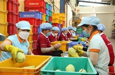 Promueven intercambio comercial entre empresas de Vietnam y China