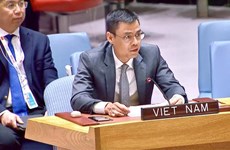 Vietnam: Todos los países deben cumplir la Carta de la ONU 