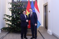  Vietnam y Luxemburgo profundizan relaciones de cooperación