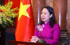 Relaciones Vietnam-UAE en camino de desarrollo fructífero 