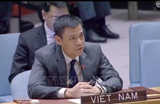 Vietnam prioriza construcción de confianza para impulsar la paz, según embajador