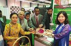 Promocionan pitahaya vietnamita en Feria Internacional My Karachi-Oasis of Harmony 2023