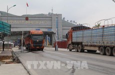 Alerta en Vietnam por información falsa sobre exportación de productos agrícolas a China