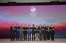 Efectúan Reunión 29 de Comunidad Sociocultural de ASEAN