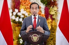 Reitera Indonesia apoyo a Consenso de Cinco Puntos sobre Myanmar