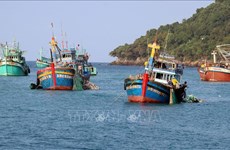 Vietnam por garantizar seguridad marítima y combatir pesca ilegal 