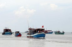 Ca Mau se esfuerza por luchar contra la pesca ilegal