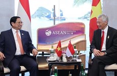 Vietnam y Singapur acuerdan robustecer cooperación multifacética