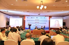 Promueven soluciones amigables con clima en zonas urbanas de Vietnam