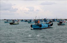 Provincia centrovietnamita de Binh Thuan se moviliza para poner fin a la pesca ilegal