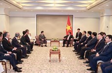 Premier se reúne con líderes de asociaciones de amistad entre Japón y Vietnam