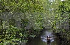 Reserva natural en Delta del Mekong aprovecha potencial del ecoturismo 