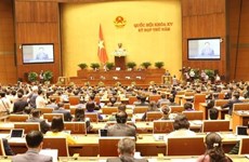 Parlamento considera programa de elaboración de leyes y ordenanzas de 2024