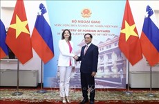 Vietnam aspira a fortalecer cooperación multifacética con Eslovenia
