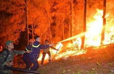Premier exhorta a adoptar medidas preventivas contra incendios forestales