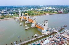 Ciudad Ho Chi Minh reemprende construcción de obras infraestructurales claves