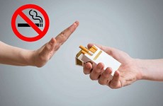 Vietnam aprueba Estrategia nacional para control del daño del tabaco 