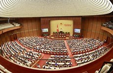 Vietnam perfecciona sus códigos judiciales para proteger a comsunidores