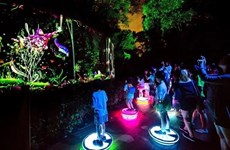 Vietnam tendrá su primer parque de luces de realidad virtual en Da Nang