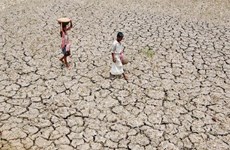 Experto tailandés alerta sobre impactos del El Niño