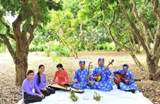 Buscan convertir la provincia sureña de Bac Lieu en destino cultural 