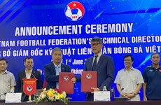 Federación de Fútbol de Vietnam contrata a director técnico japonés 