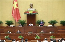 Parlamento de Vietnam analizará proyectos de leyes importantes