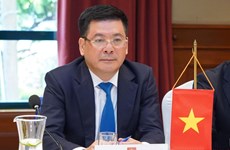 Acuerdo CEPA: Palanca para promover nexos económicos y comerciales Vietnam-EAU