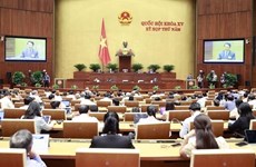 Funcionario vietnamita aclara cuestiones sobre asuntos étnicos