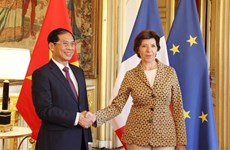 Vietnam y Francia esperan llevar cooperación bilateral a un nuevo nivel