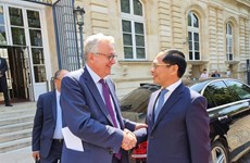 Vietnam concede al desarrollo de nexos de cooperación con Francia, afirma canciller 