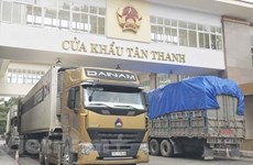 Autoridades vietnamitas se esfuerzan por facilitar exportaciones de productos agrícolas a China