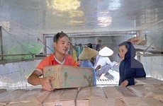 Provincia vietnamita exporta segundo lote de caña de azúcar fresca a EE.UU.