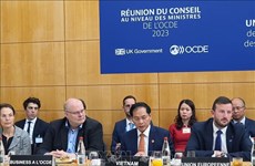 Vietnam afirma determinación sobre transición verde en OCDE