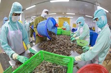 Vietnam ingresó 3,2 mil millones de dólares por exportaciones acuícolas