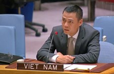 Vietnam asiste a sesión de debate abierto sobre cambio climático, paz y seguridad