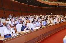 Parlamento vietnamita aprueba Ley de Cooperativas (modificada)