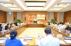 Vietnam fomenta eficiencia de actividades de relaciones exteriores de Asamblea Nacional