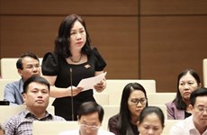 Parlamento de Vietnam debate sobre proyecto de Ley de Tierra (modificada)
