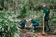 Nestlé promueve agricultura regenerativa y de bajas emisiones en Vietnam 