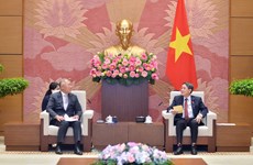 Vietnam aspira a atraer más inversiones de empresas surcoreanas
