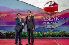 Vietnam e Indonesia por intensificar relaciones bilaterales 