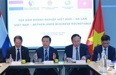 Vietnam-Países Bajos: Por un desarrollo sustantivo de relaciones multifacéticas