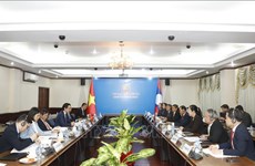 Efectúan octava consulta política Vietnam – Laos
