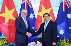 "Diplomacia de bambú” de Vietnam refleja la cohesión del país con la comunidad internacional